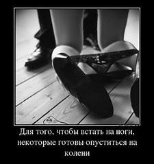 click for enlarge 300 X 319  12.9 Kb picture