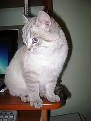 click for enlarge 1920 X 2560 193.0 Kb picture