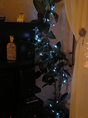 click for enlarge 1712 X 2288 859.2 Kb picture