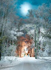 click for enlarge 930 X 1280 400.4 Kb picture