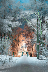 click for enlarge 853 X 1280 432.5 Kb picture
