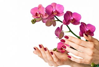 click for enlarge 735 X 498 171.7 Kb picture