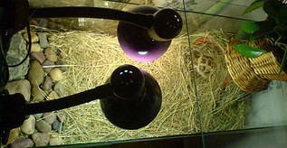 click for enlarge 1920 X 989 445.9 Kb picture