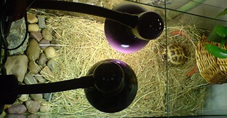 click for enlarge 1920 X 1000 449.5 Kb picture