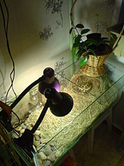 click for enlarge 1536 X 2048 678.1 Kb picture