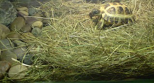 click for enlarge 1920 X 1040 543.8 Kb picture