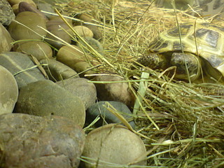 click for enlarge 1920 X 1440 607.1 Kb picture