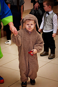 click for enlarge 1674 X 2500 378.9 Kb picture