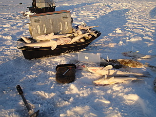 click for enlarge 1280 X 960 573.3 Kb picture