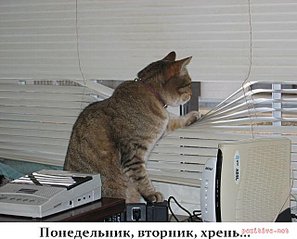 click for enlarge 640 X 516 54.0 Kb picture