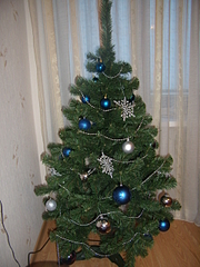 click for enlarge 1920 X 2560 363.6 Kb picture