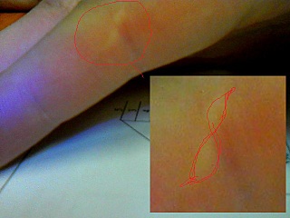 click for enlarge 640 X 480  62.6 Kb picture