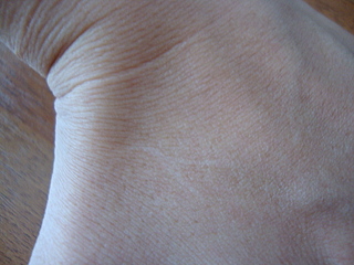 click for enlarge 1920 X 1440 146.4 Kb picture