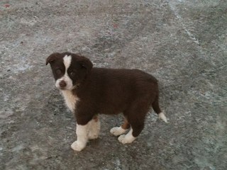 click for enlarge 604 X 453  56.0 Kb picture