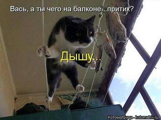 click for enlarge 580 X 435 739.2 Kb picture