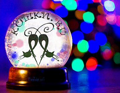 click for enlarge 800 X 618  78.5 Kb picture