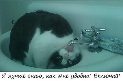 click for enlarge 604 X 397  31.4 Kb picture