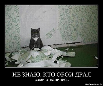 click for enlarge 780 X 653  70.3 Kb picture