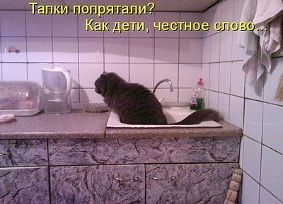 click for enlarge 600 X 434 89.3 Kb picture