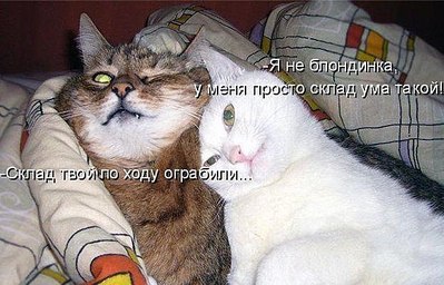 click for enlarge 604 X 388  66.4 Kb picture