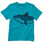 click for enlarge 350 X 350 15.7 Kb picture