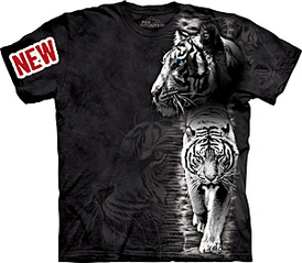 click for enlarge 300 X 262 47.4 Kb picture