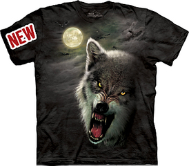 click for enlarge 750 X 655 237.8 Kb picture