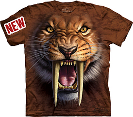 click for enlarge 750 X 655 345.1 Kb picture