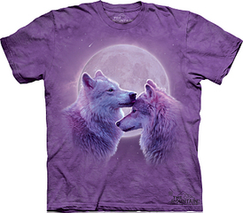 click for enlarge 750 X 655 261.4 Kb picture