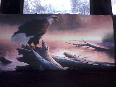 click for enlarge 1600 X 1200 384.0 Kb picture