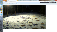 click for enlarge 1366 X 768  1.3 Mb picture