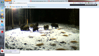 click for enlarge 1366 X 768  1.3 Mb picture