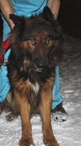 click for enlarge 571 X 1024 223.1 Kb picture