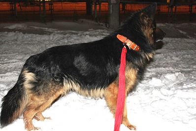 click for enlarge 1024 X 683 303.4 Kb picture