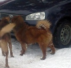 click for enlarge 400 X 387  36.9 Kb picture
