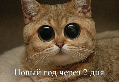 click for enlarge 604 X 415  55.8 Kb picture