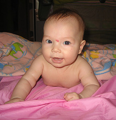 click for enlarge 800 X 829 113.3 Kb picture