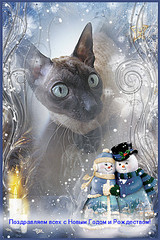 click for enlarge 300 X 450 64.4 Kb picture
