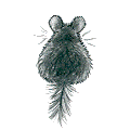 120 x 120
