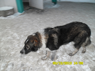 click for enlarge 1920 X 1440 929.2 Kb picture