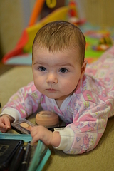 click for enlarge 1920 X 2880 216.9 Kb picture