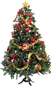 click for enlarge 240 X 400 151.4 Kb picture