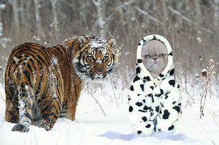 click for enlarge 600 X 399 58.3 Kb picture