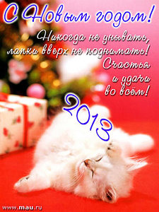 click for enlarge 300 X 400 35.7 Kb picture