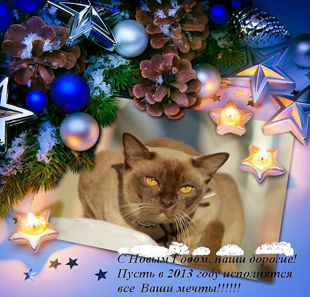 click for enlarge 700 X 671 83.3 Kb picture