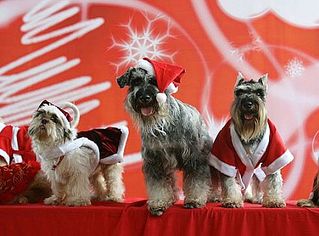 click for enlarge 492 X 364  35.7 Kb picture