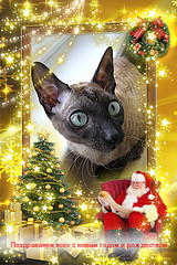 click for enlarge 300 X 450  85.2 Kb picture