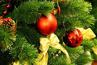 click for enlarge 800 X 533 185.1 Kb picture