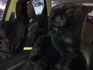 click for enlarge 448 X 336 24.3 Kb picture