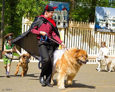 click for enlarge 540 X 432 80.3 Kb picture